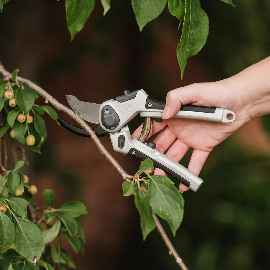 Eversharp: Secateurs ~ All Purpose Lite - Alton Garden Centre 2 Eversharp: Secateurs ~ All Purpose Lite - Alton Garden Centre - Image 2