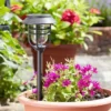 Smart Solar Avant 5L Stake Light, 5pc Carry Pack - Alton Garden Centre