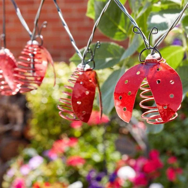 Smart Solar Ladybird Solar String Lights X 10 - Alton Garden Centre 2 Smart Solar Ladybird Solar String Lights X 10 - Alton Garden Centre - Image 2