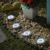 Smart Solar Up Light, 4pk, 5L - Alton Garden Centre