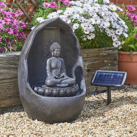 Buddha - Hybrid Power - Alton Garden Centre 1 Buddha - Hybrid Power - Alton Garden Centre