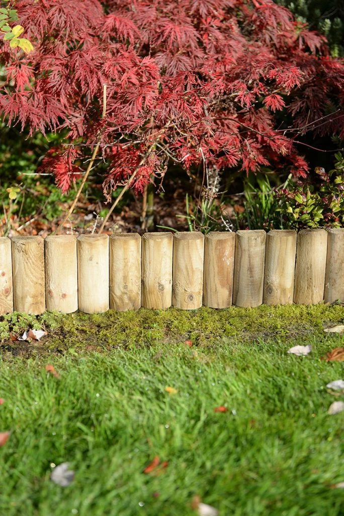 Forest - Border Section 15cm(H) - Alton Garden Centre 2 Forest - Border Section 15cm(H) - Alton Garden Centre - Image 2