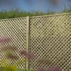 Forest - Rosemore Lattice 180 X 180cm - Alton Garden Centre