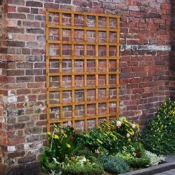 Forest - Heavy Duty Trellis 183 X 122cm - Alton Garden Centre