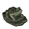 Bermuda: Frog On Lilypad Ornamental Pond Spitter - Alton Garden Centre