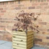 Forest - Linear Planter Square - Alton Garden Centre
