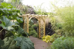 Forest - Large Ultima Pergola Arch - Alton Garden Centre