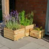 Forest - Kendal Square Planter Set Of 3 Small - Alton Garden Centre