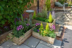Forest - Durham Rectangular Planter Set Of 3 - Alton Garden Centre
