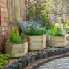 Forest - York Hexagonal Planter Set Of 3 Small - Alton Garden Centre