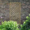 Forest - Hidcote Lattice 180 X 90cm - Alton Garden Centre