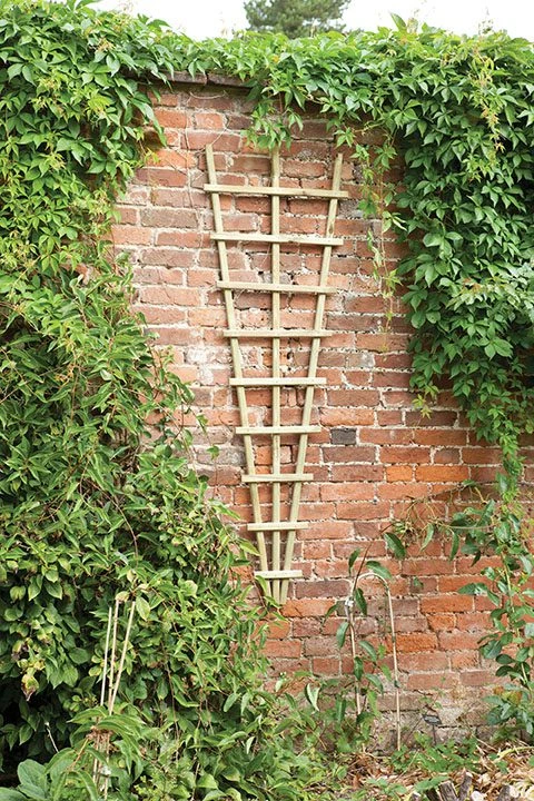 Forest - Traditional Fan Trellis 180 X 60cm - Alton Garden Centre 1 Forest - Traditional Fan Trellis 180 X 60cm - Alton Garden Centre