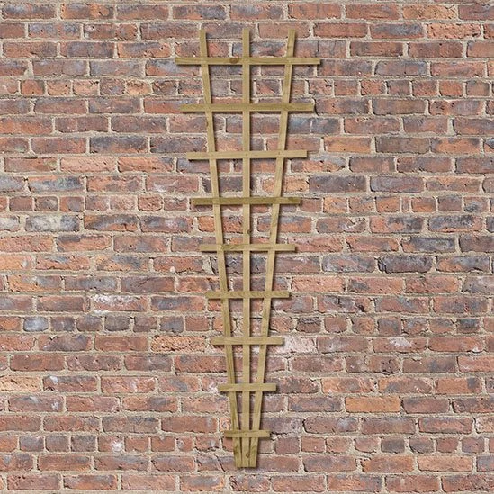 Forest - Traditional Fan Trellis 180 X 60cm - Alton Garden Centre 3 Forest - Traditional Fan Trellis 180 X 60cm - Alton Garden Centre - Image 3
