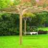 Forest - Ultima Pergola 3.6m - Alton Garden Centre