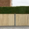 Forest - Pressure Treated Closeboard Panel 6ft X 3ft (1.83m X 0.92m) - Alton Garden Centre