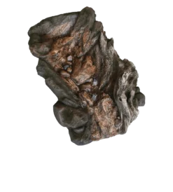 Watercourses (Creek) - Alton Garden Centre