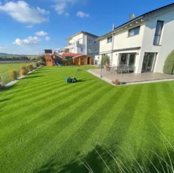 Allett Liberty 43 17" Battery Cylinder Lawnmower - Alton Garden Centre -Garden Strimmers Shop image cb239777 fd86 4033 a7c8 87eb0fda64ac 1024x1024@2x