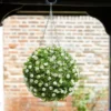 Smart Garden Topiary White Rose Ball 30cm - Alton Garden Centre