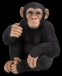 Vivid Arts Sitting Chimpanzee… - Alton Garden Centre