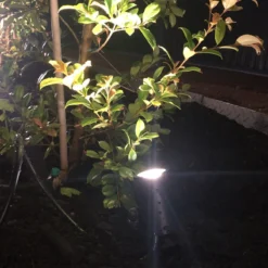 Ellumiere Black Spotlight - 2w - Small - Alton Garden Centre