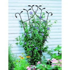 Panacea Forged Fan Trellis With Leaves - Black - Alton Garden Centre