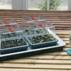 4 Top Automatic Temperature Control Electric Propagator 50w - Alton Garden Centre