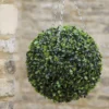 Smart Garden: Boxwood Topiary Ball 30cm - Alton Garden Centre