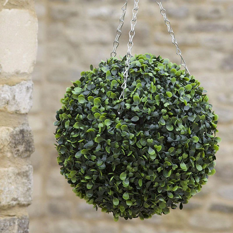 Smart Garden: Boxwood Topiary Ball 30cm - Alton Garden Centre 1 Smart Garden: Boxwood Topiary Ball 30cm - Alton Garden Centre